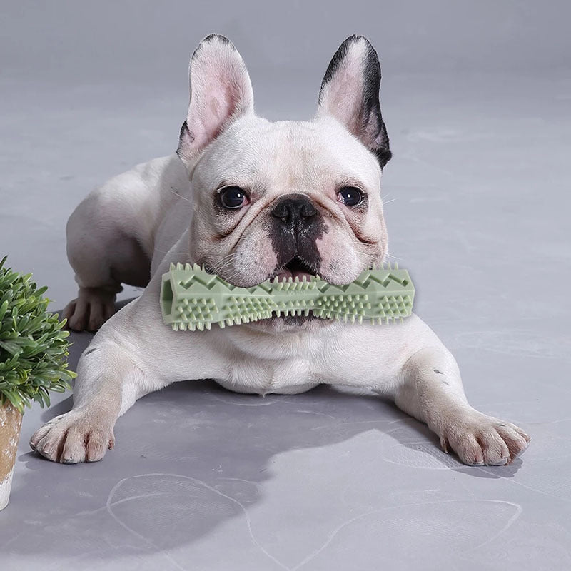 Durable Rubber Chew Stick – Teeth Cleaning & Massage for Dogs