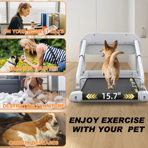 2025 New Quiet Smart Pet Treadmill Adjustable Speed Weight Capacity 265 Lbs Low
