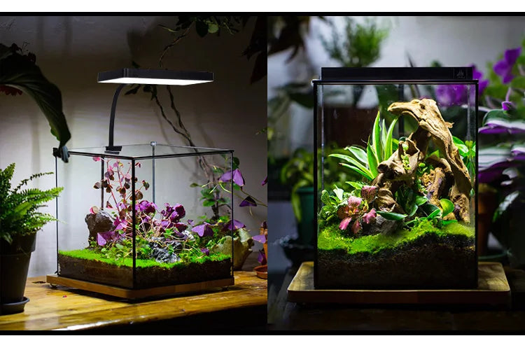 WEEK AQUA Mini 9 Pro USB Full‑Spectrum Aquarium Light – Compact Plant & Nano‑Tank LED with App Control