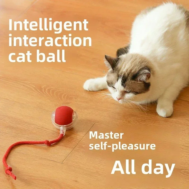 Rechargeable Interactive Rolling Ball for Dogs & Cats – Automatic Toy with Wagging Tail