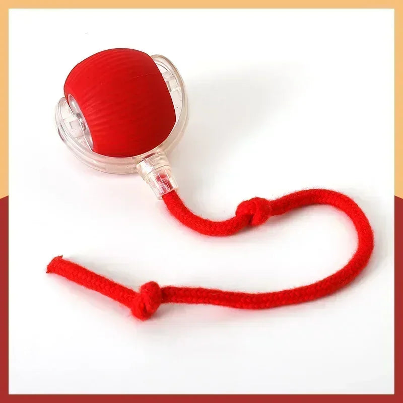 Rechargeable Interactive Rolling Ball for Dogs & Cats – Automatic Toy with Wagging Tail