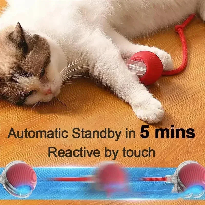 Rechargeable Interactive Rolling Ball for Dogs & Cats – Automatic Toy with Wagging Tail