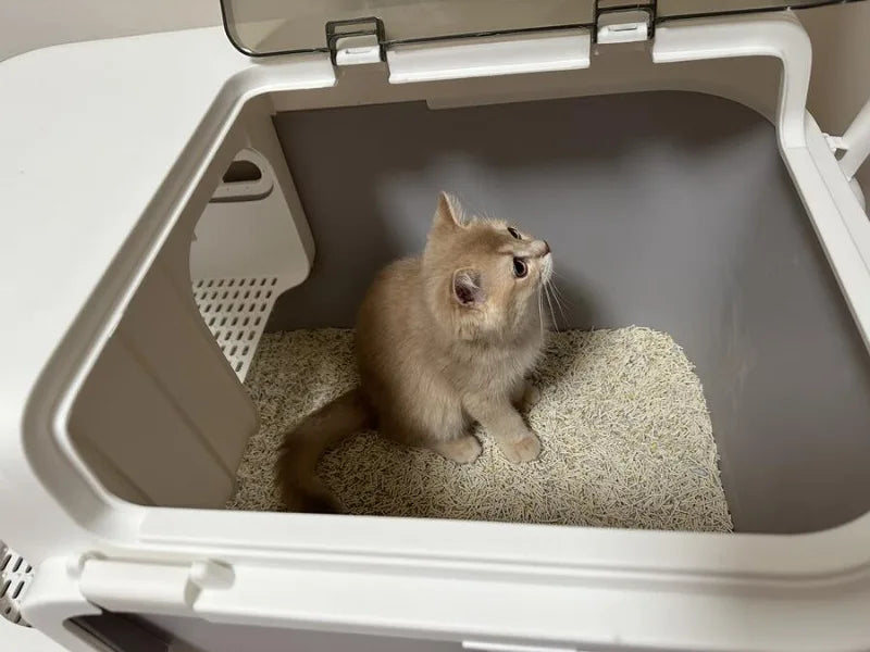 Spacious & Smart Cat Litter Box  Corridor Style Enclosure