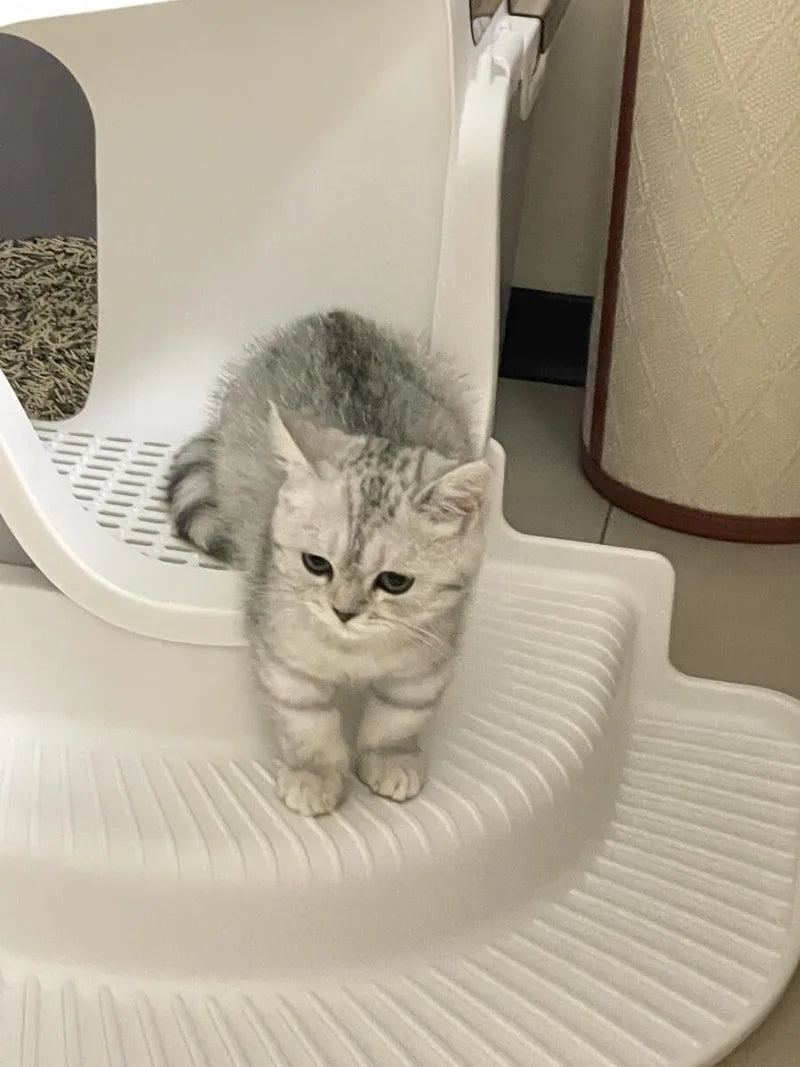 Spacious & Smart Cat Litter Box  Corridor Style Enclosure