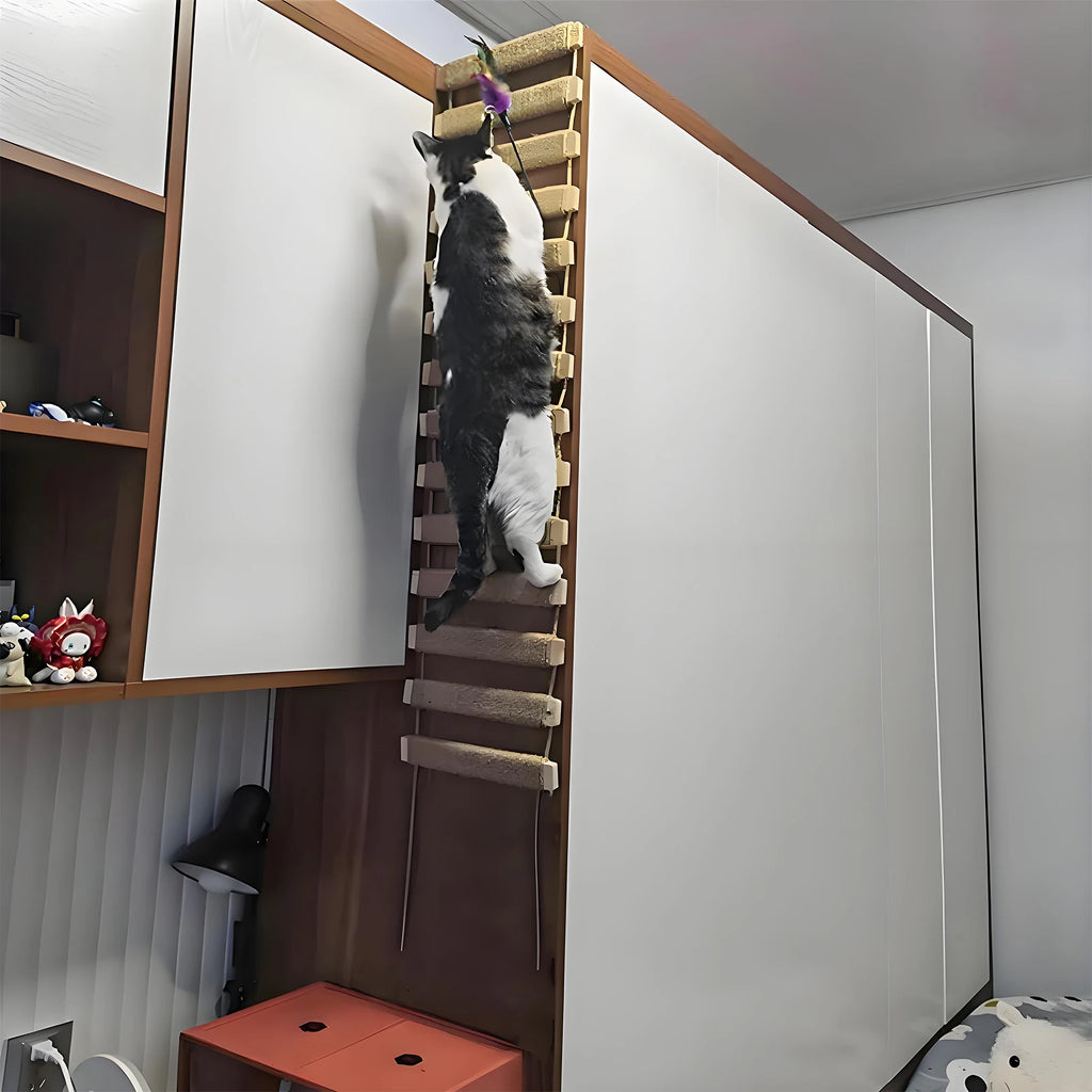 Sisal Rope Cat Ladder – Climber & Scratching Fun for Kittens