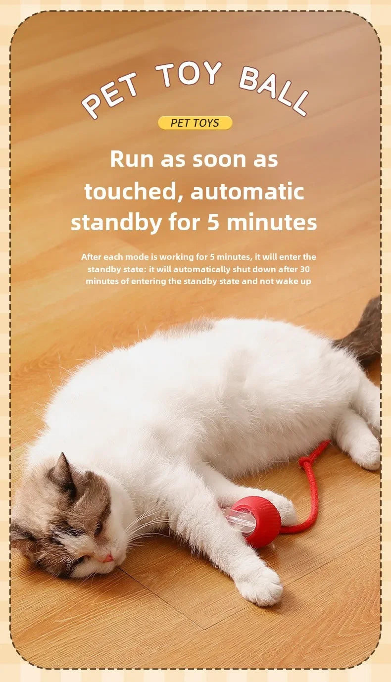 Rechargeable Interactive Rolling Ball for Dogs & Cats – Automatic Toy with Wagging Tail