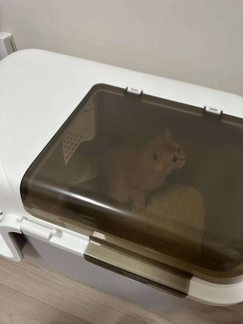 Spacious & Smart Cat Litter Box  Corridor Style Enclosure