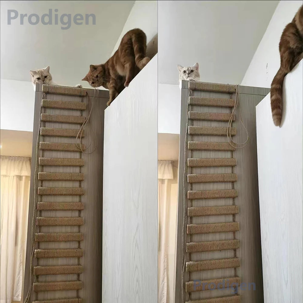 Sisal Rope Cat Ladder – Climber & Scratching Fun for Kittens