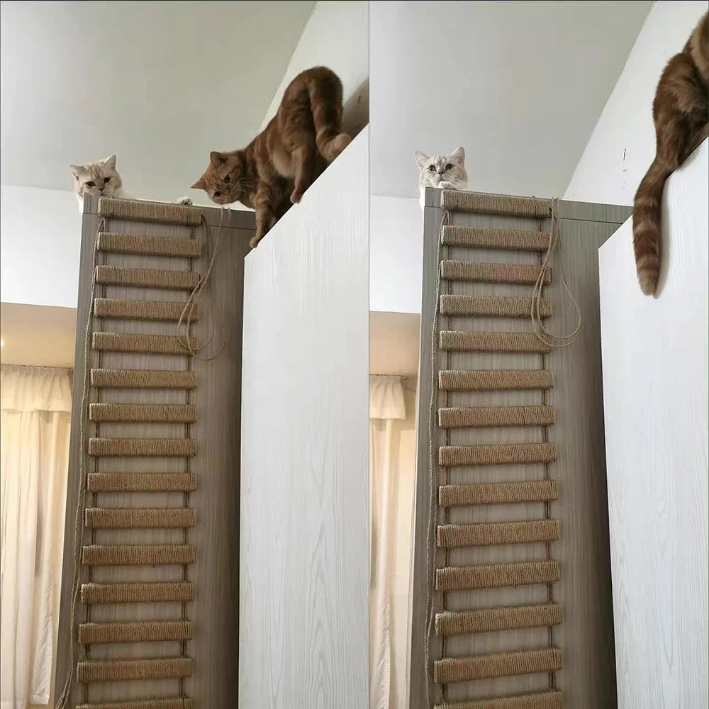 Sisal Rope Cat Ladder – Climber & Scratching Fun for Kittens