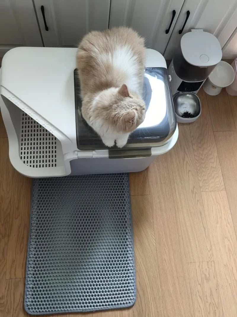 Spacious & Smart Cat Litter Box  Corridor Style Enclosure