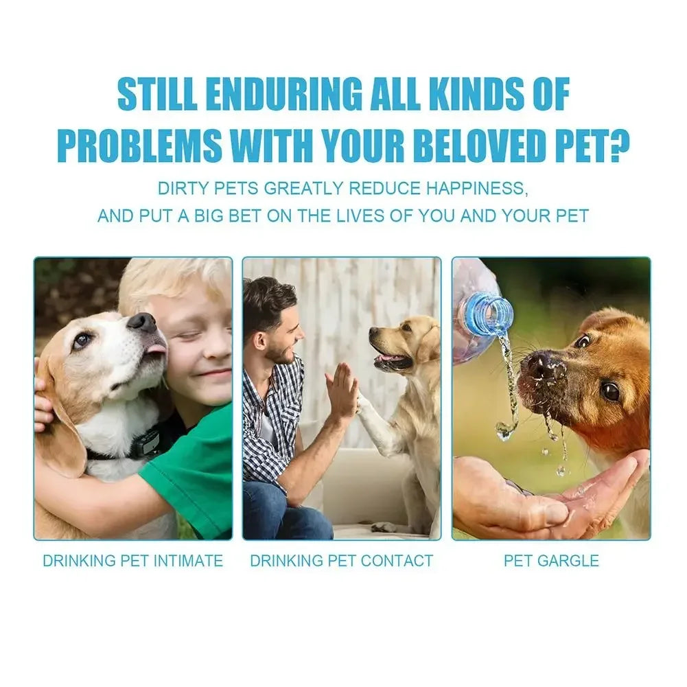 Pet Toothpaste – Edible Oral Care for Dogs & Cats | Fresh Breath & Tartar Control