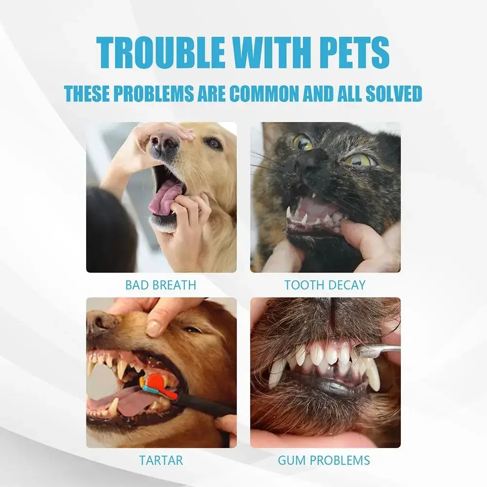 Pet Toothpaste – Edible Oral Care for Dogs & Cats | Fresh Breath & Tartar Control
