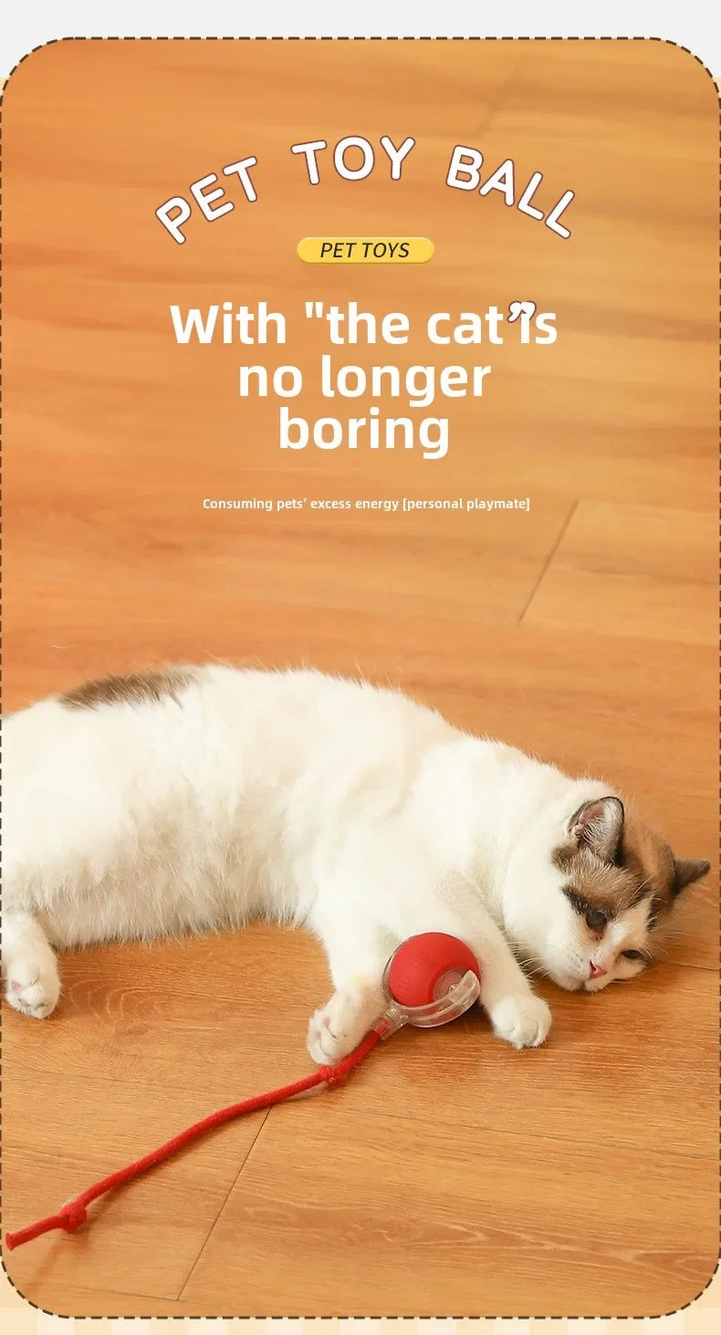Rechargeable Interactive Rolling Ball for Dogs & Cats – Automatic Toy with Wagging Tail