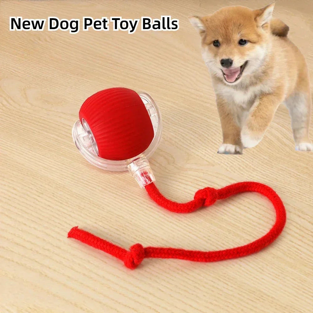 Rechargeable Interactive Rolling Ball for Dogs & Cats – Automatic Toy with Wagging Tail