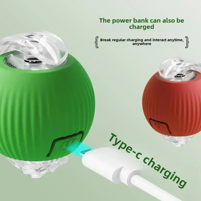 Rechargeable Interactive Rolling Ball for Dogs & Cats – Automatic Toy with Wagging Tail