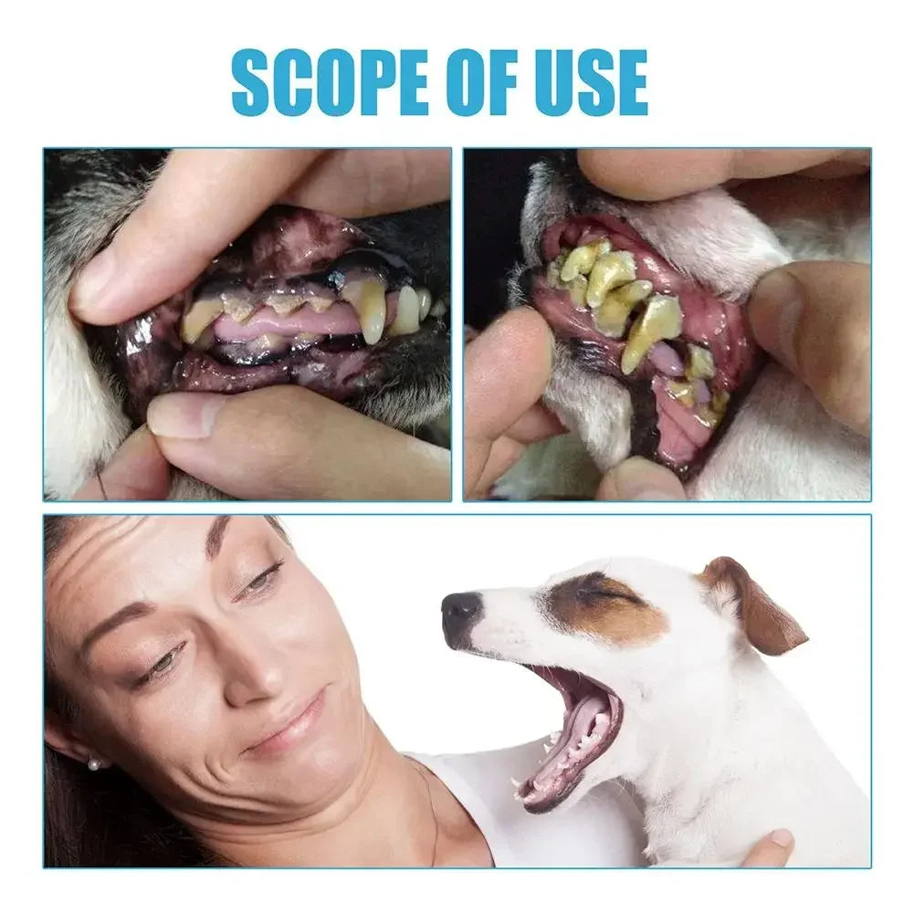 Pet Toothpaste – Edible Oral Care for Dogs & Cats | Fresh Breath & Tartar Control