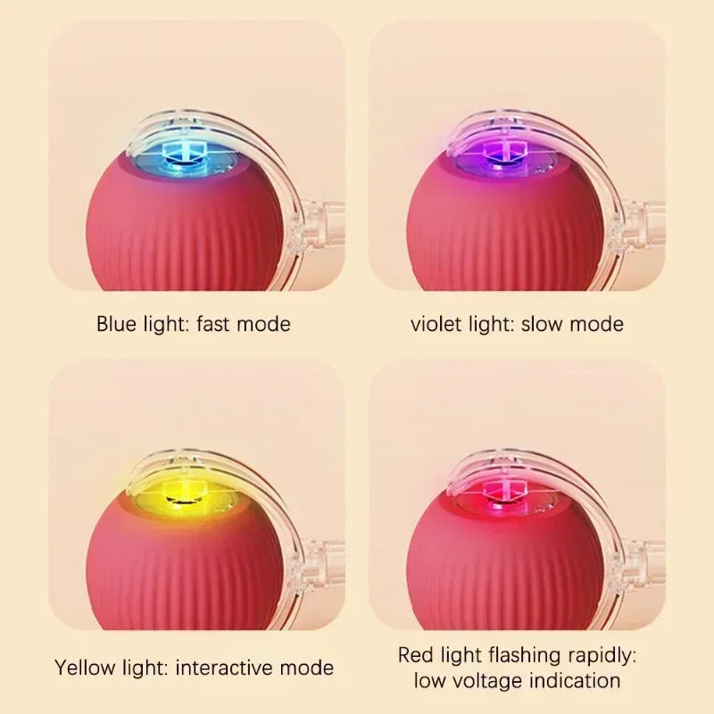 Rechargeable Interactive Rolling Ball for Dogs & Cats – Automatic Toy with Wagging Tail