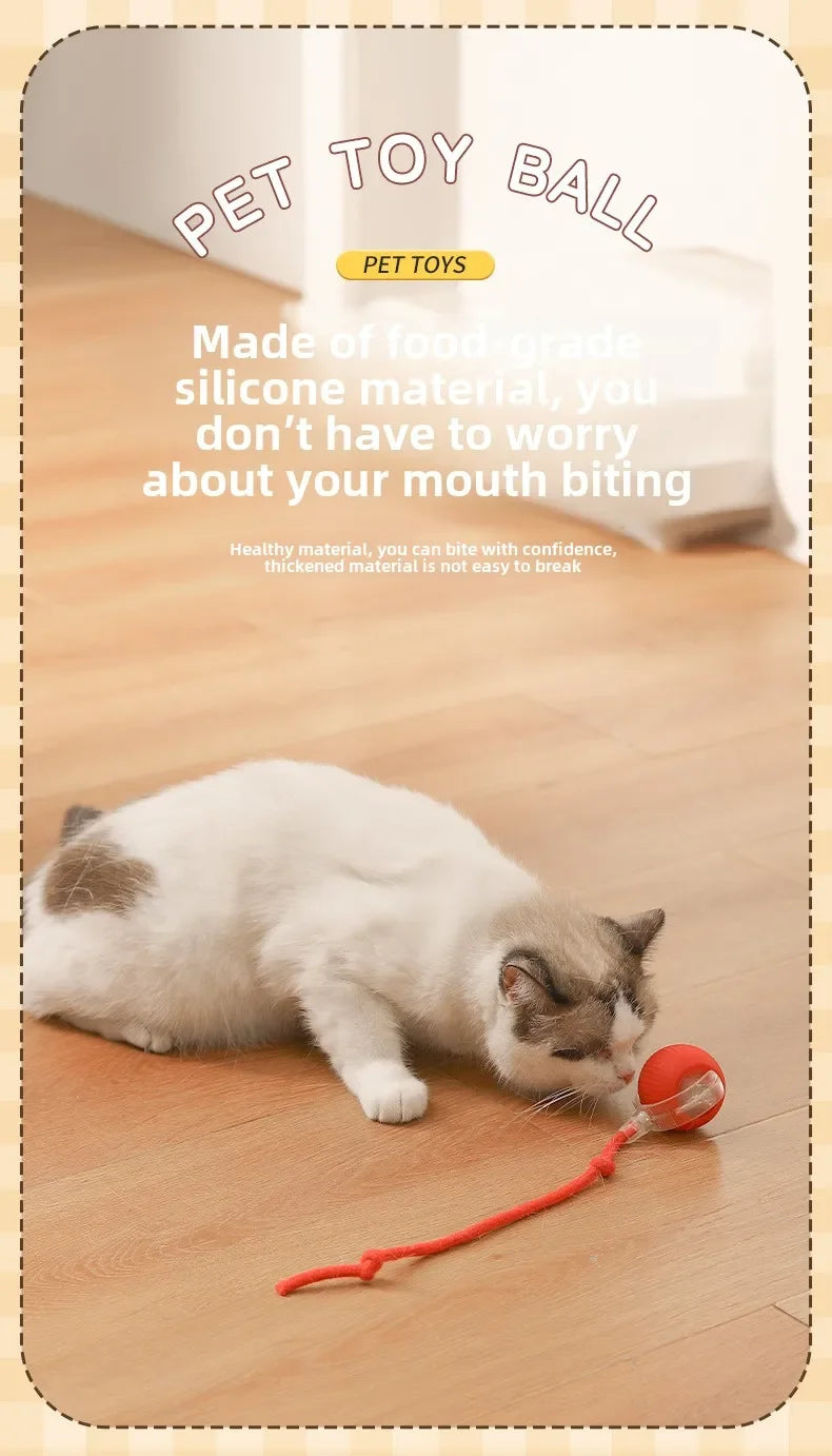 Rechargeable Interactive Rolling Ball for Dogs & Cats – Automatic Toy with Wagging Tail