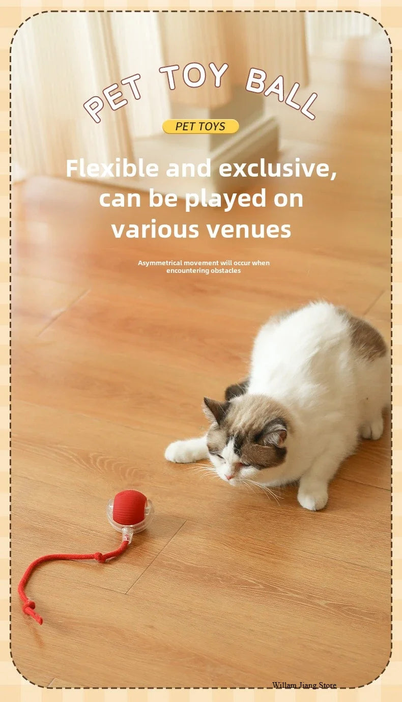 Rechargeable Interactive Rolling Ball for Dogs & Cats – Automatic Toy with Wagging Tail